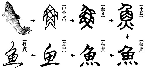 汉字转变1.jpg